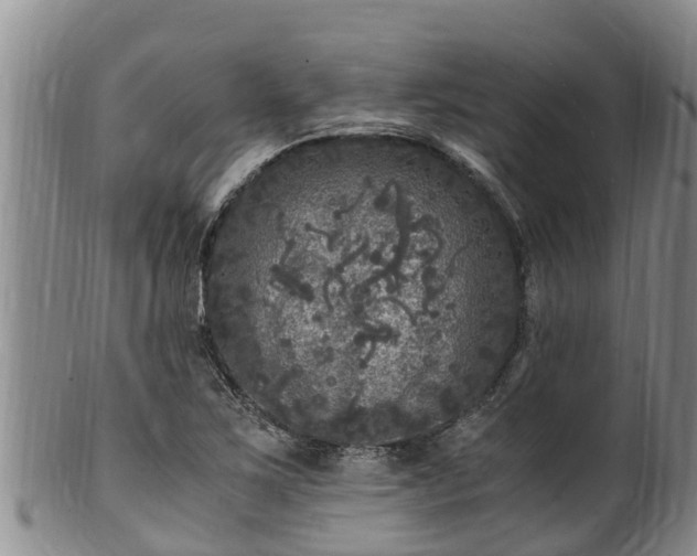 X0000100881267200806271128