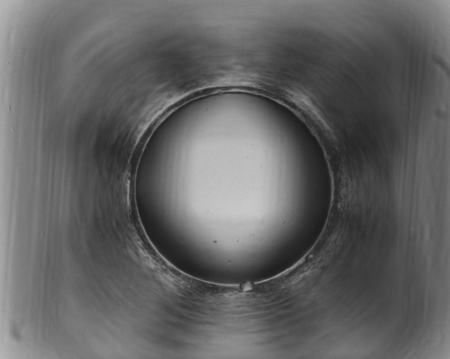 X0000100881268200806271128