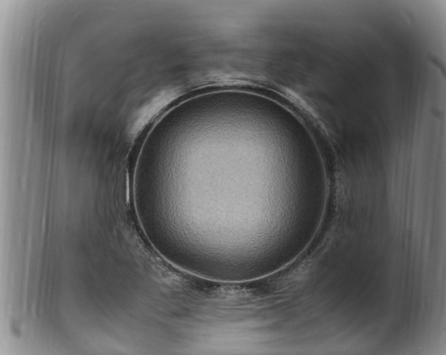 X0000100881269200806271128