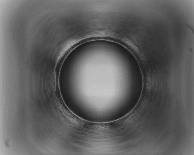 X0000100881270200806271128