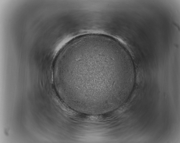 X0000100881271200806271128