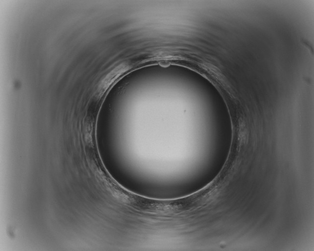 X0000100881273200806271128