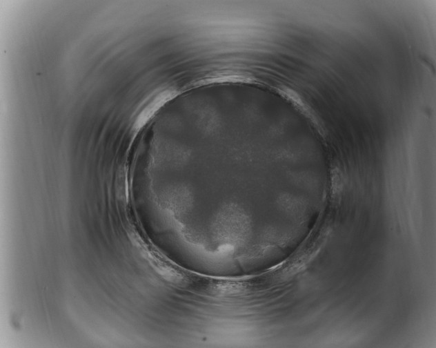 X0000100881274200806271128