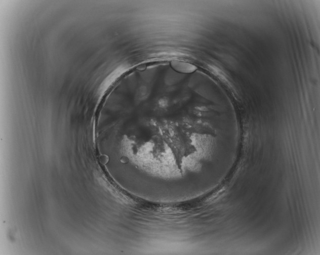 X0000100881275200806271128