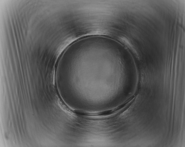 X0000100881276200806271128