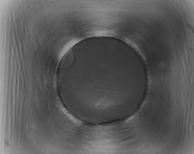 X0000100881277200806271128