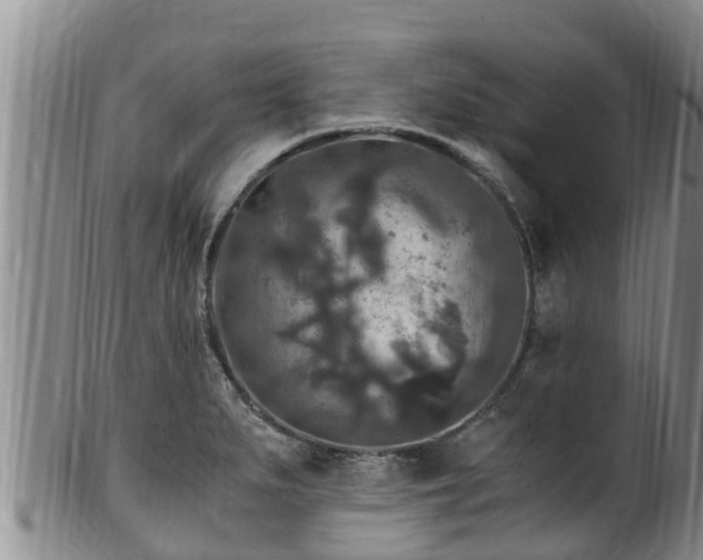 X0000100881279200806271128