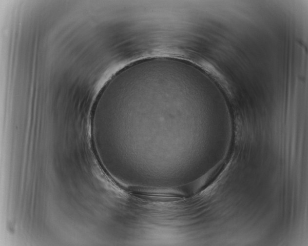 X0000100881280200806271128