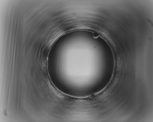 X0000100881281200806271128