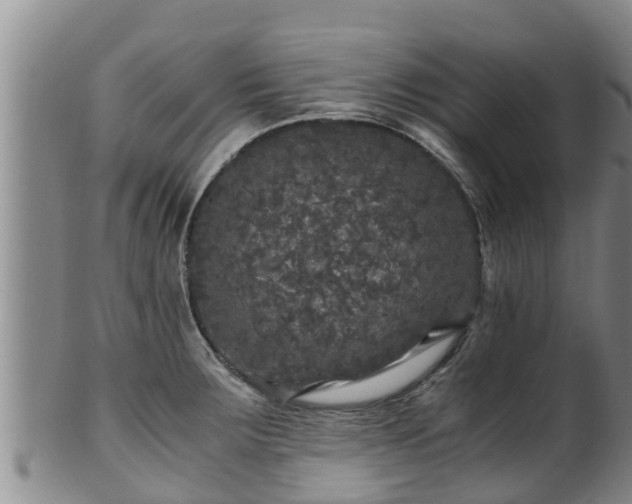 X0000100881283200806271128