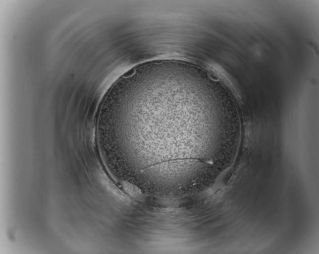 X0000100881284200806271128