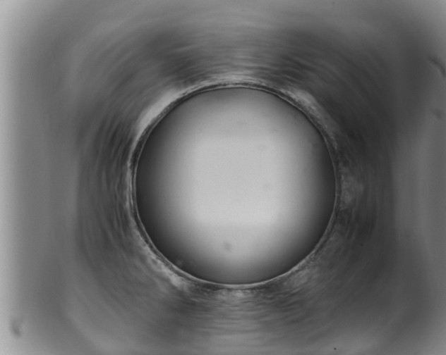 X0000100881286200806271128