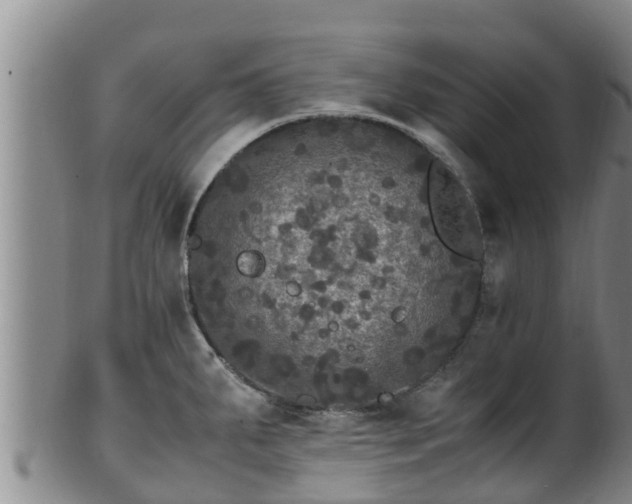 X0000100881287200806271128