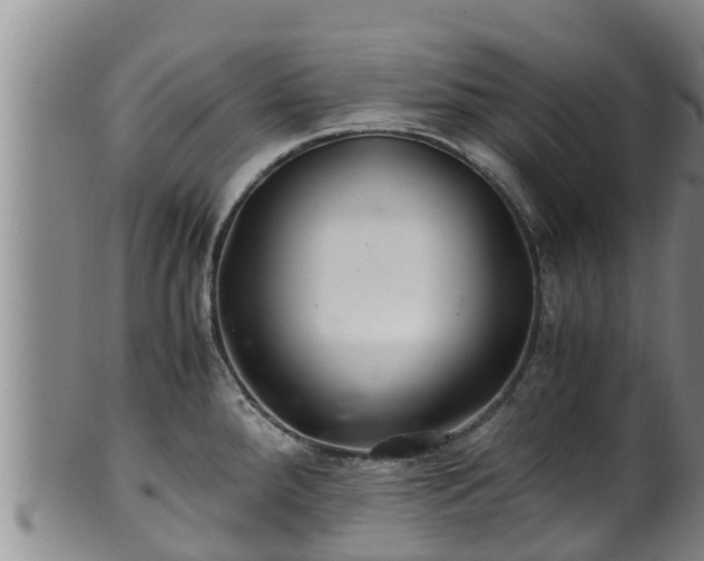 X0000100881288200806271128