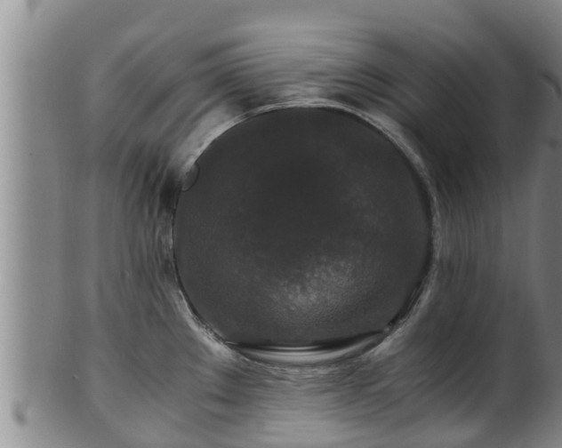 X0000100881289200806271128