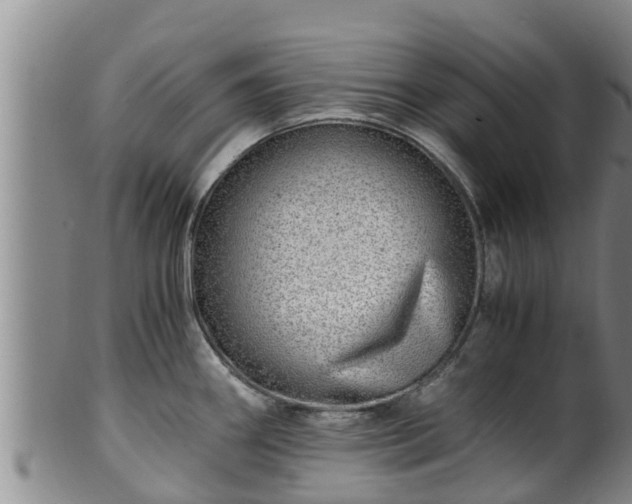 X0000100881290200806271128