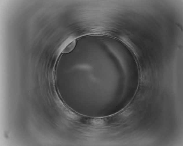 X0000100881291200806271128