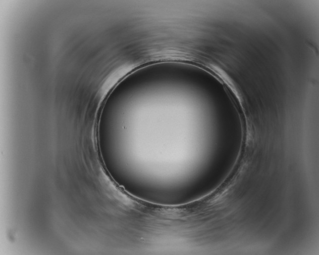 X0000100881293200806271128