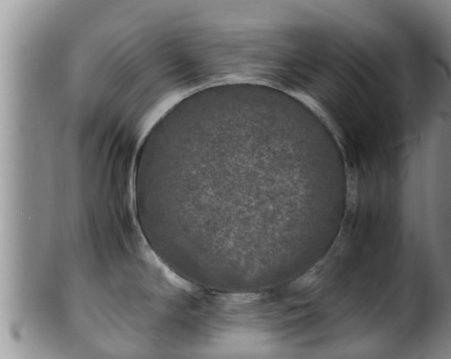 X0000100881294200806271128