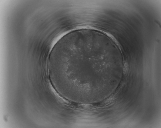 X0000100881295200806271128