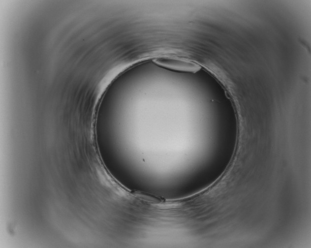 X0000100881296200806271128