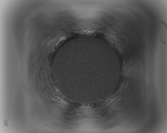 X0000100881297200806271127