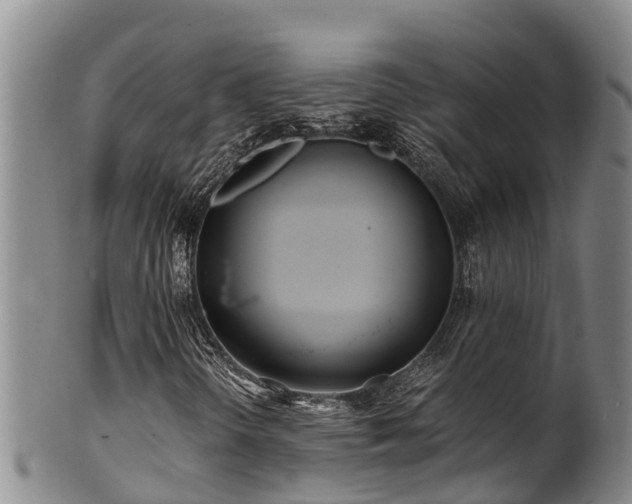 X0000100881298200806271127