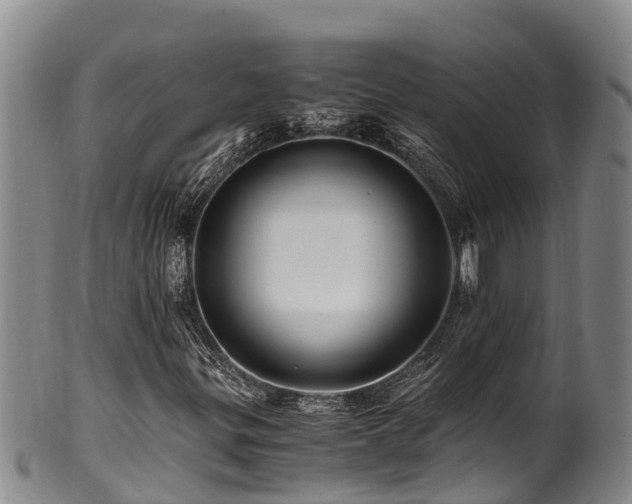 X0000100881299200806271127