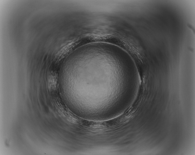 X0000100881300200806271127