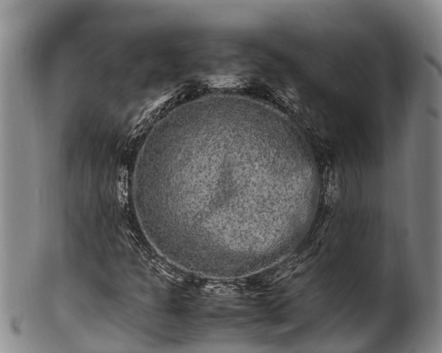 X0000100881301200806271127