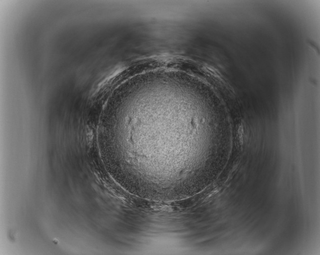 X0000100881302200806271127