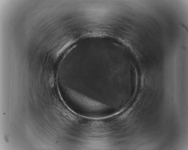 X0000100881306200806271127