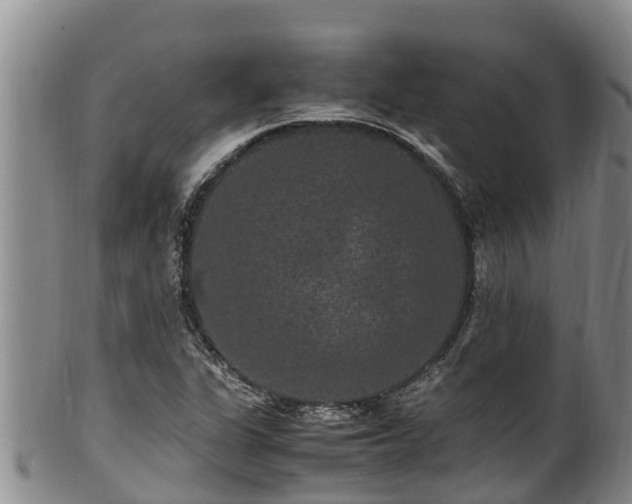 X0000100881311200806271127