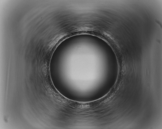 X0000100881313200806271127