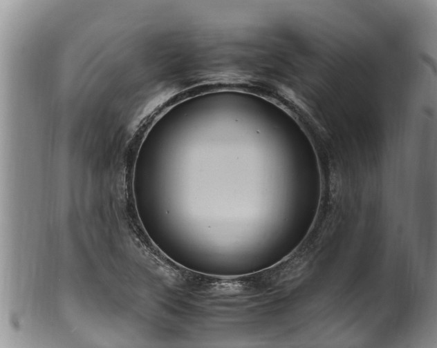 X0000100881315200806271127