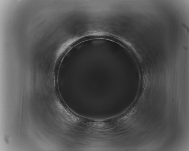 X0000100881319200806271127