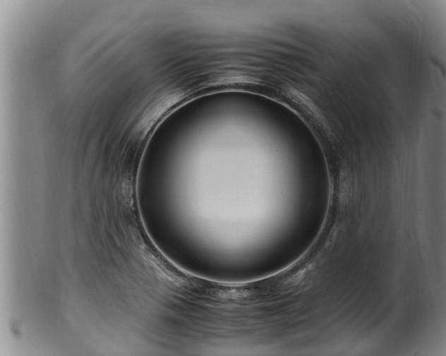 X0000100881321200806271127