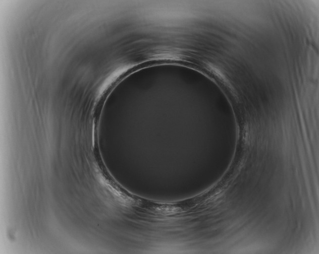 X0000100881323200806271128