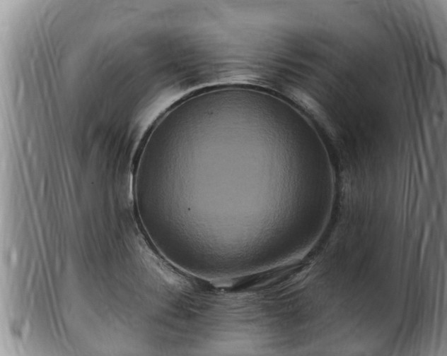 X0000100881324200806271128