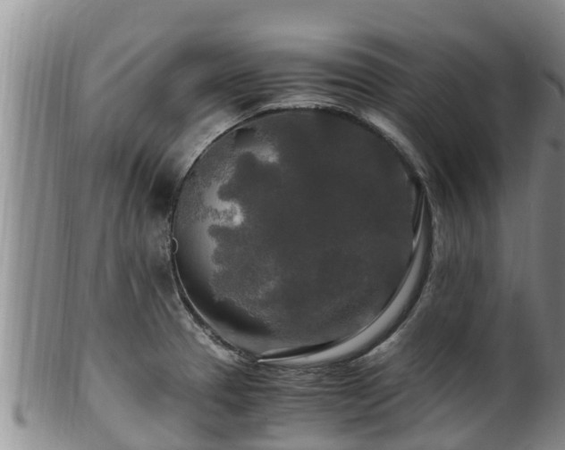 X0000100881329200806271128