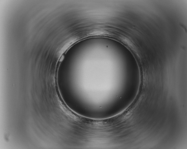 X0000100881330200806271128