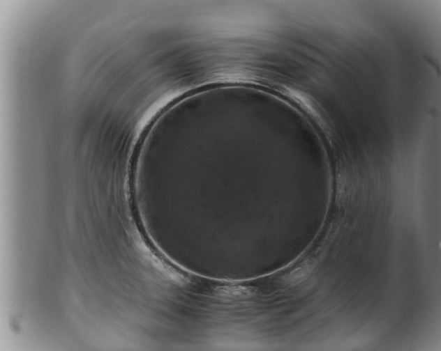 X0000100881331200806271128