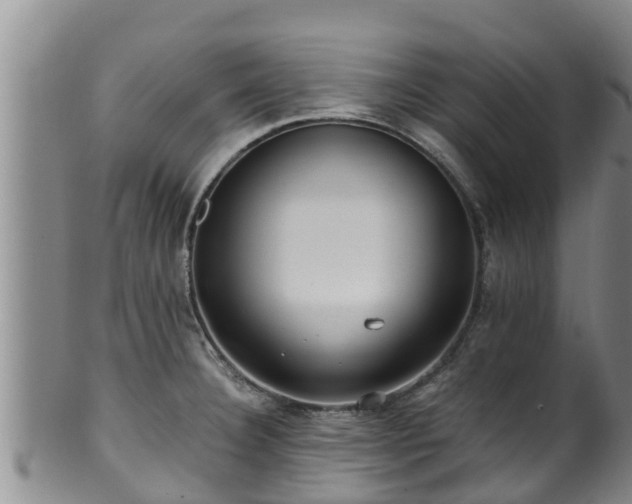 X0000100881332200806271128