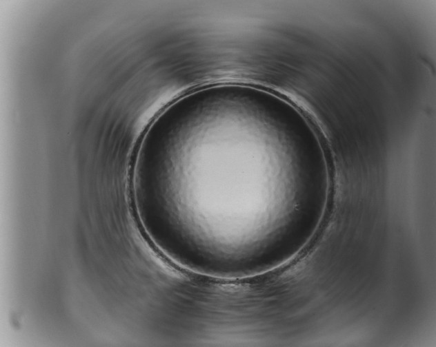 X0000100881333200806271128