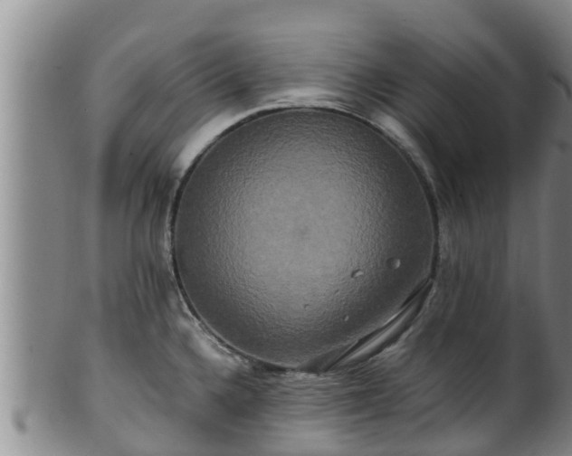 X0000100881336200806271128