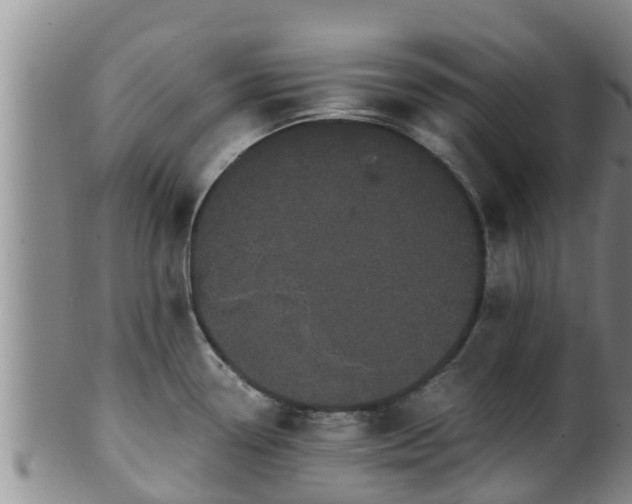 X0000100881338200806271128