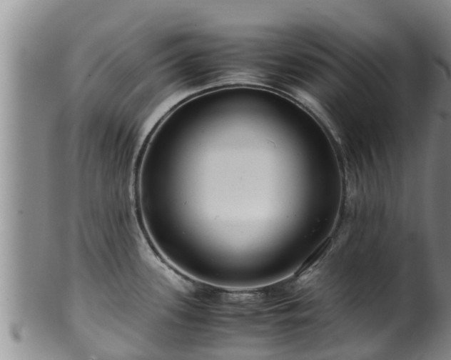 X0000100881339200806271128