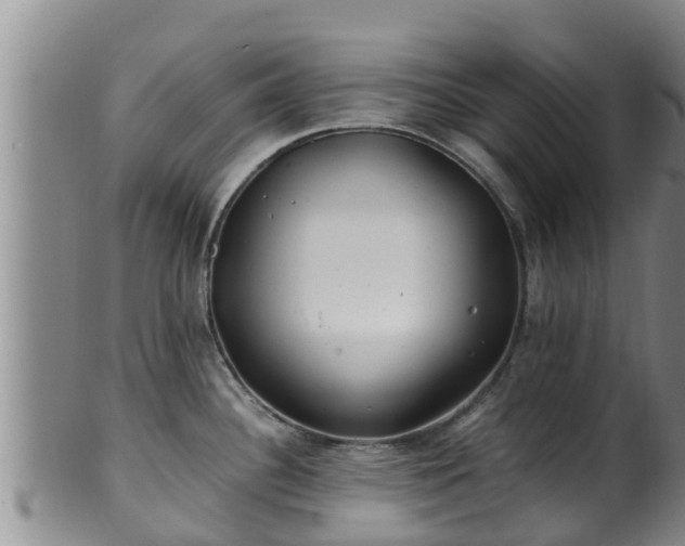 X0000100881340200806271128