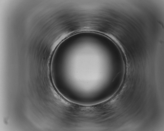 X0000100881341200806271128