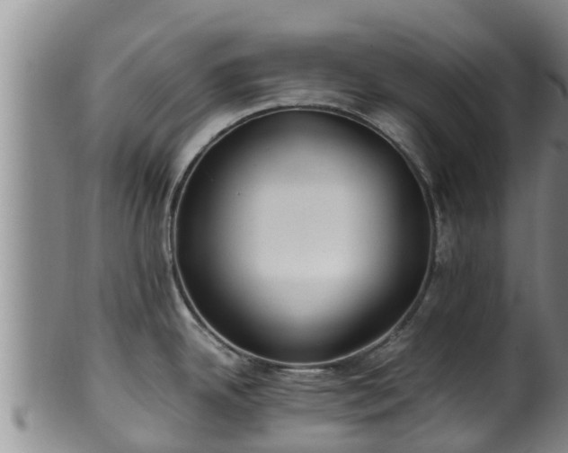 X0000100881342200806271128